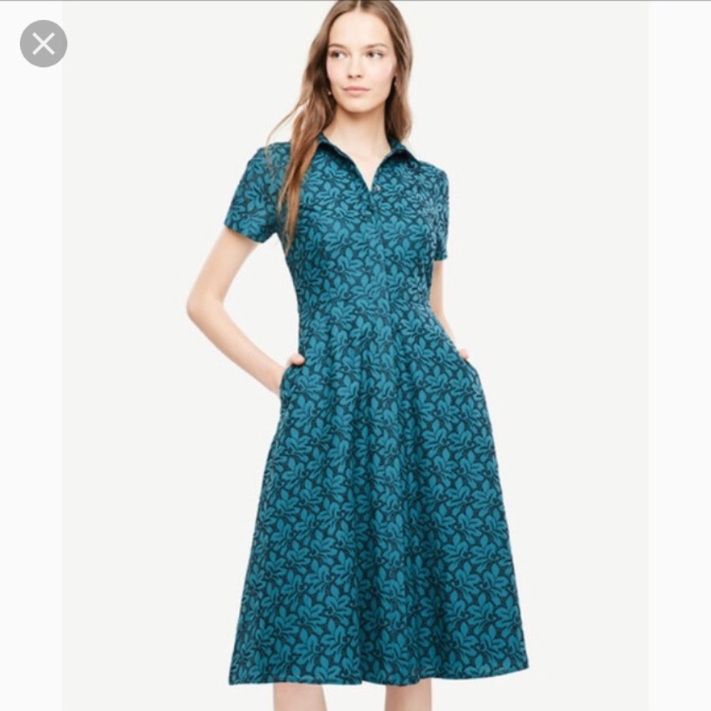 Ann Taylor eyelet a-line dress